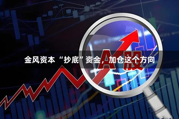 金风资本 “抄底”资金，加仓这个方向
